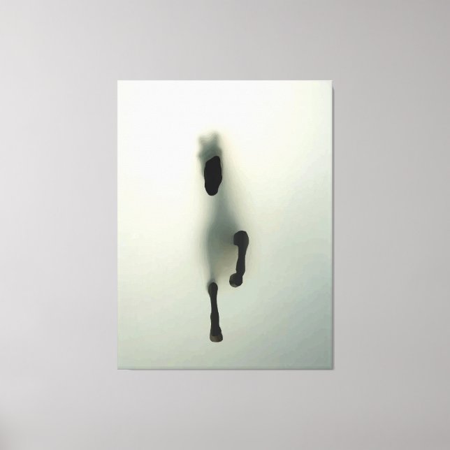 Horse Breaking Through Fog Canvas Print (Front)