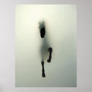 Horse Breaking Through Fog Poster