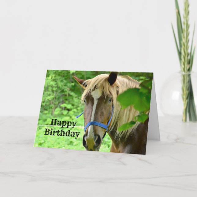 Horse Brown Belgian Draft Photo Birthday Card (Front)