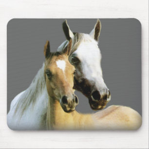 Horse Buddies Mousepad