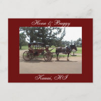Horse & Buggy, Kauai, HI