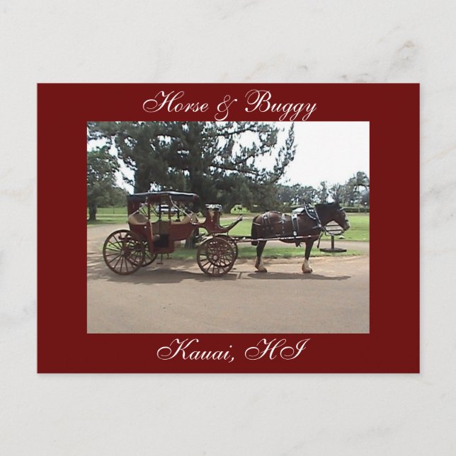 Horse & Buggy, Kauai, HI Postcard (Front)