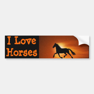 horse bumper sticker