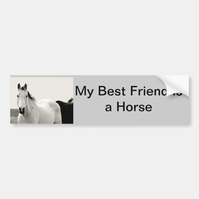 Horse bumper sticker (Front)