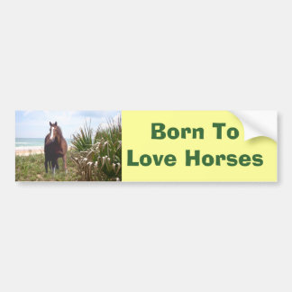 Horse Bumper Sticker Beach