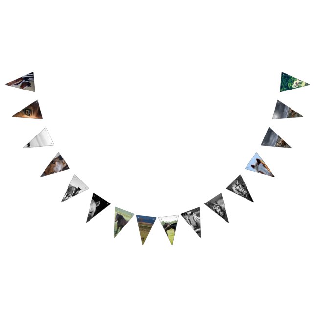 Horse Bunting Flags (All)