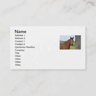 Horse Business Card