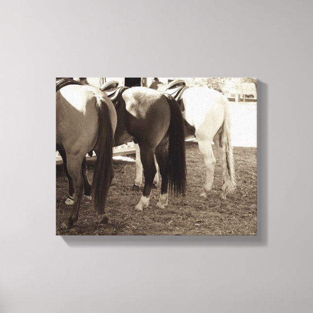 Horse Butts Canvas Photo (Front)