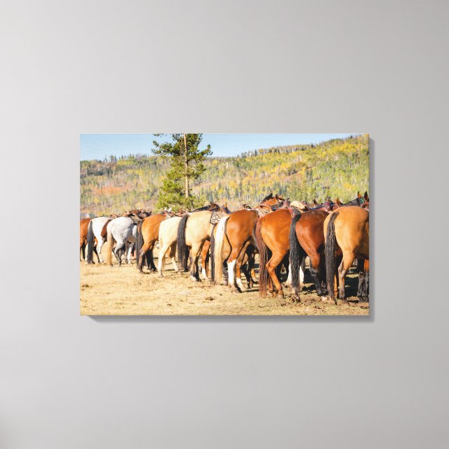 Horse Butts Canvas Print (Front)