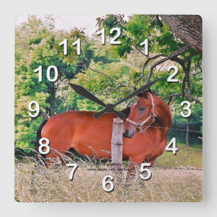 Horse By Fence-Wall Clock