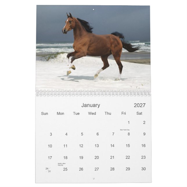 Horse Calendar (Jan 2027)