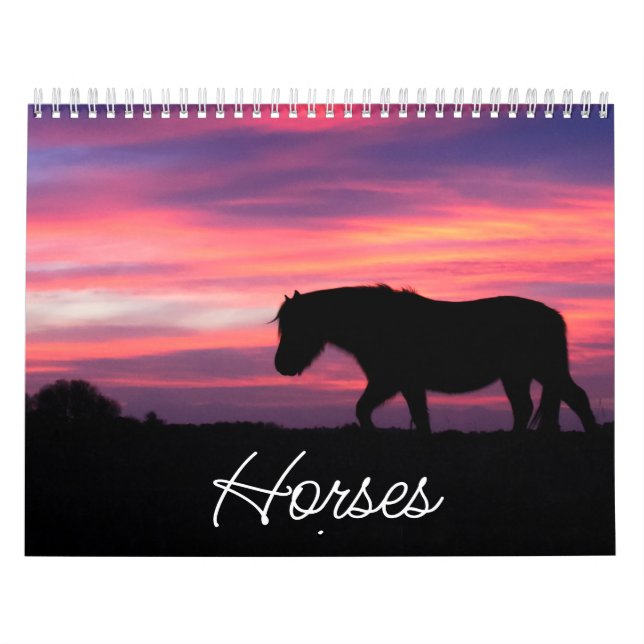 Horse Calendar (Cover)