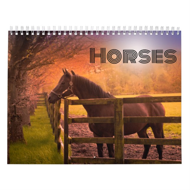 Horse Calendar (Cover)