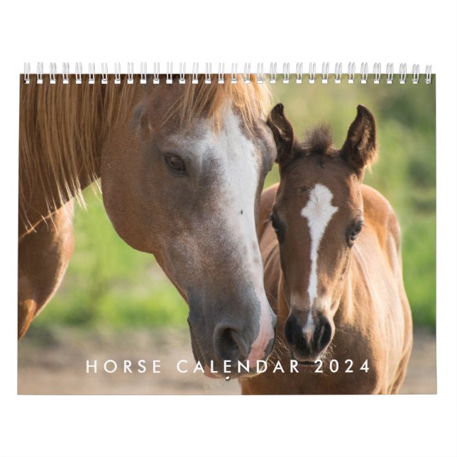 Horse Calendar 2024 With Your Photos (Cover)