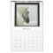Horse Calendar -Andalusian, Friesian Lipizzan