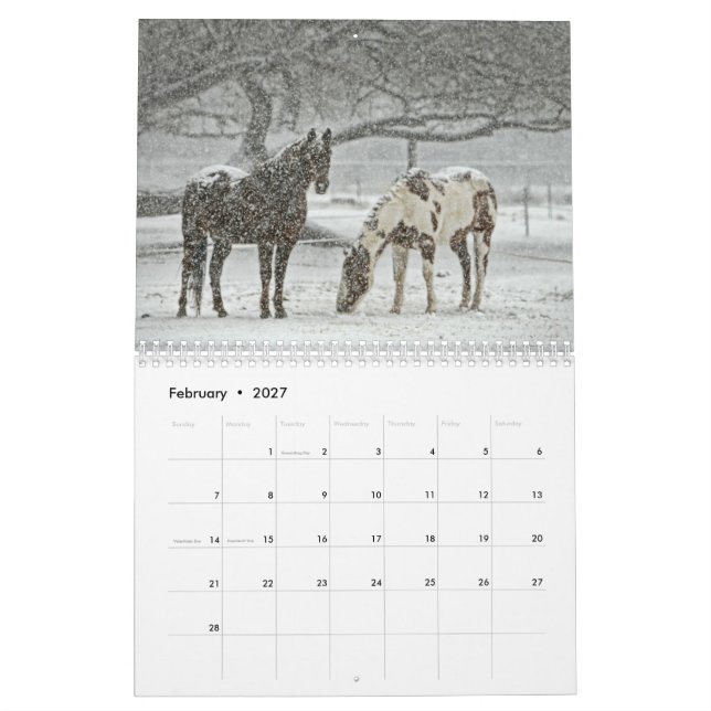 Horse Calender Calendar (Feb 2027)
