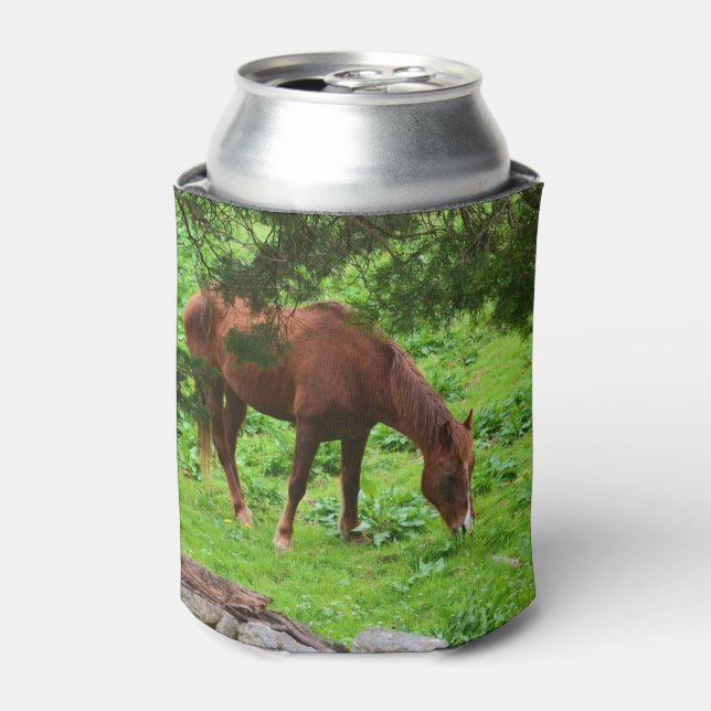Horse Can Cooler (Can Front)