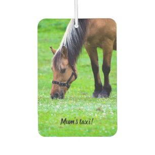 Horse Car air freshener
