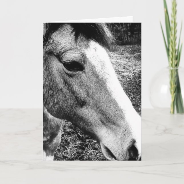 Horse Card (Front)