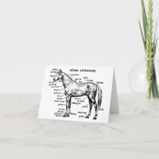 Horse Card