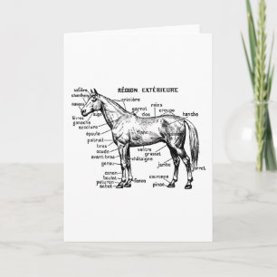 Horse Card