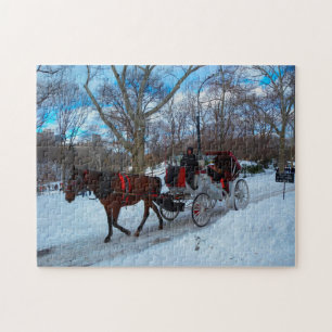 Horse Carriage in Central Park New York. Jigsaw Puzzle