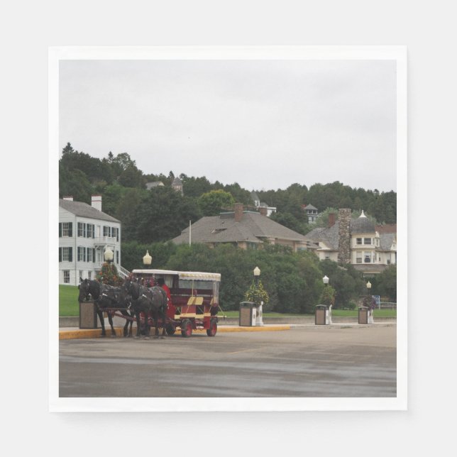 Horse Carriage Mackinac Island Street Napkin (Front)