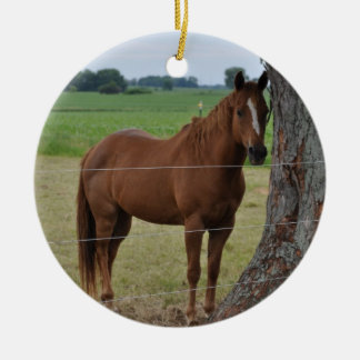 Horse Ceramic Ornament