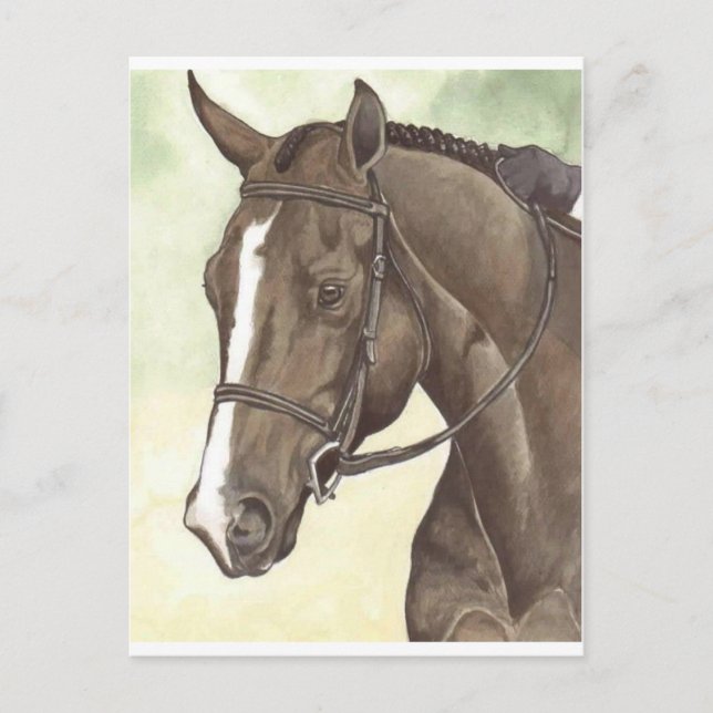 HORSE Champion Appendix QH Mare Postcard (Front)