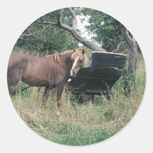 Horse Checking Out Old Buggy Classic Round Sticker
