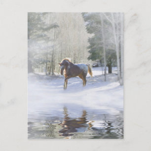 Horse Christmas Postcards