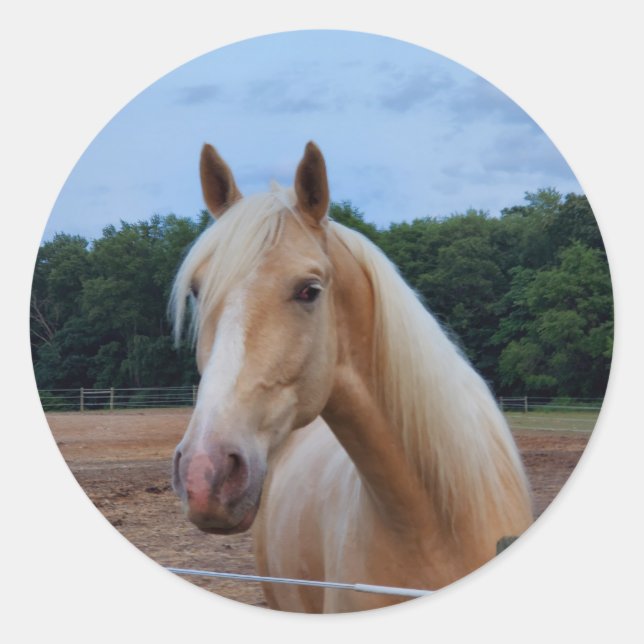 Horse Classic Round Sticker (Front)