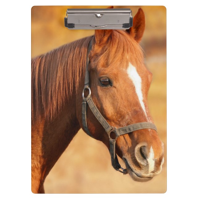 Horse Clipboard (Front)