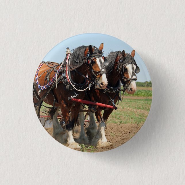 Horse Clydesdale Farming Photo 1 Inch Round Button (Front)