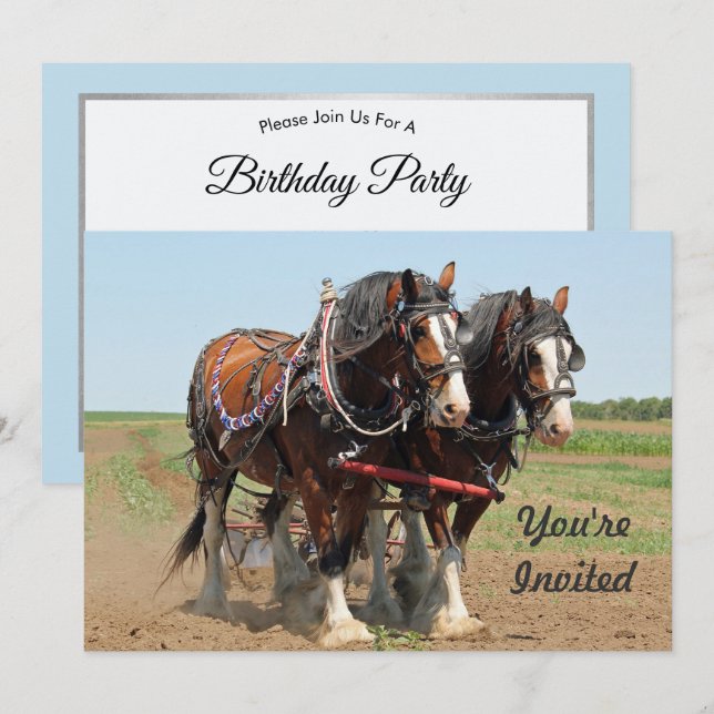 Horse Clydesdale Farming Photo Birthday Invitation (Front/Back)