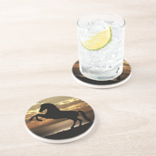 horse coaster