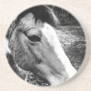 Horse Coaster
