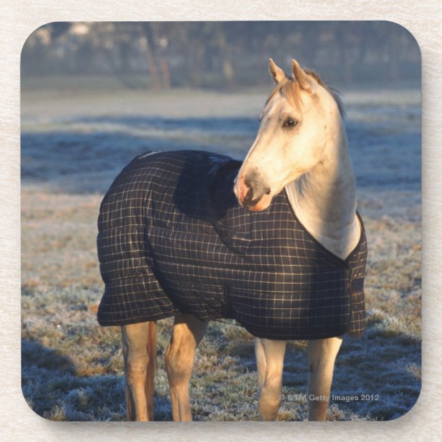 horse coaster (Front)