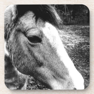 Horse Coaster