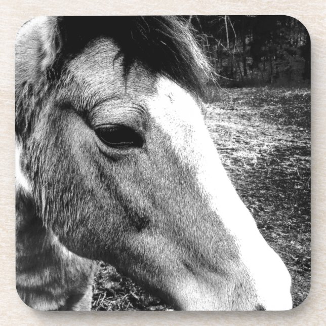 Horse Coaster (Front)