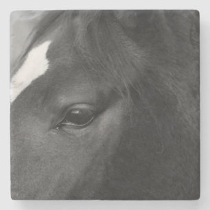 Horse coastercn stone coaster