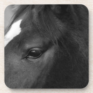 Horse coastercna coaster