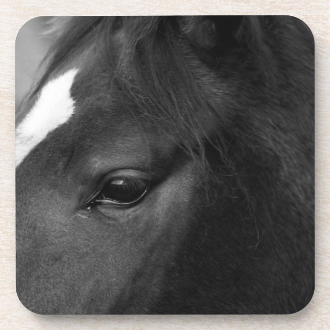 Horse coastercna coaster (Front)