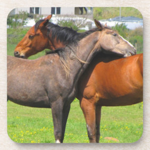 Horse coasters