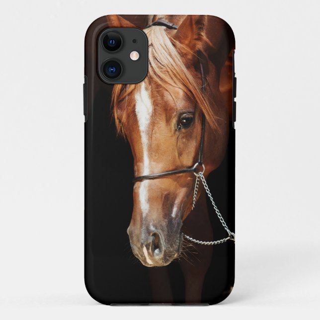 horse collection. arabian red cover for iPad air (Back)