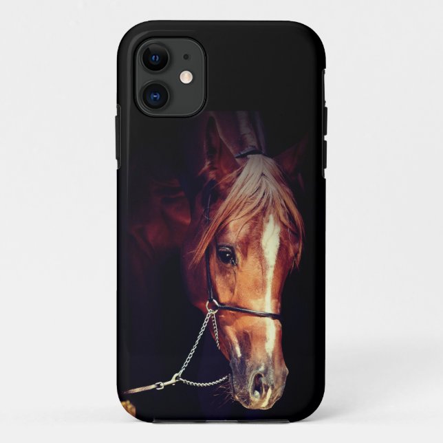 horse collection. arabian red kindle case (Back)