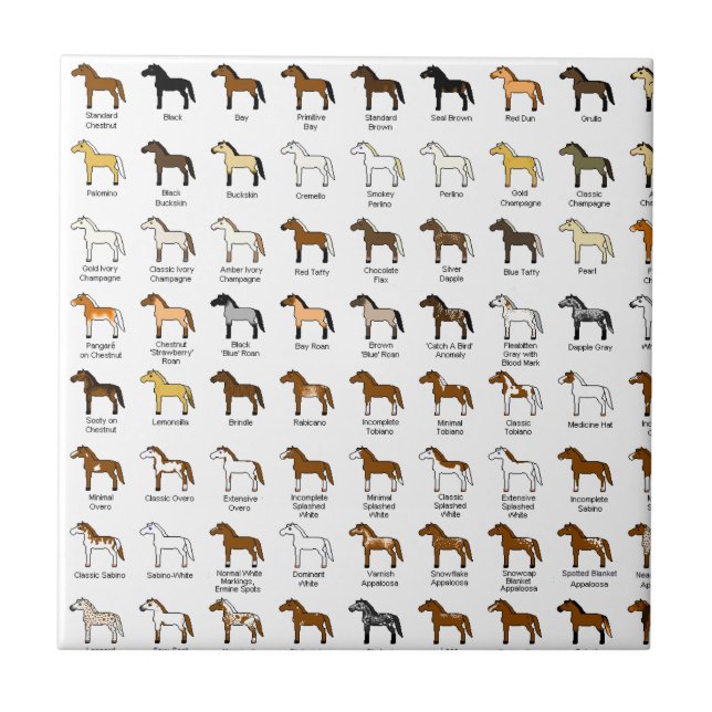 Horse Colors Tile (Front)