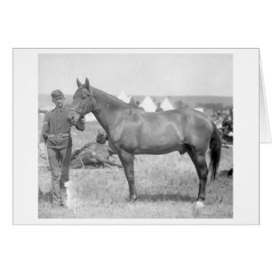 Horse "Comanche" the sole Survivor of the Custer