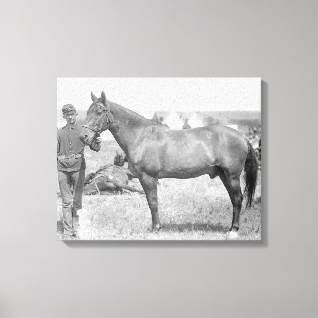 Horse "Comanche" the sole Survivor of the Custer Canvas Print (Front)