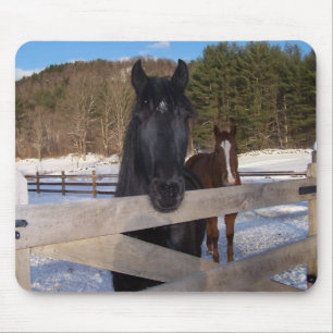 HORSE COUNTRY MOUSE PAD